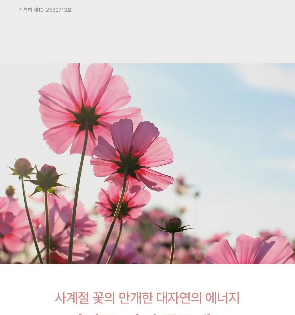 [NEW] 숨37 홀리데이 에디션 5종 기획(메쉬쿠션/립밤듀오/립세린+핸드크림/아이크림/모이스트크림 기획 세트 택1) 상세페이지 24